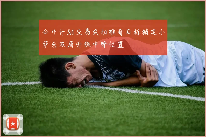 公牛计划交易武切维奇目标锁定小萨或浓眉升级中锋位置