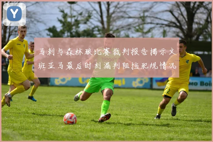 马刺与森林狼比赛裁判报告揭示文班亚马最后时刻漏判阻挡犯规情况